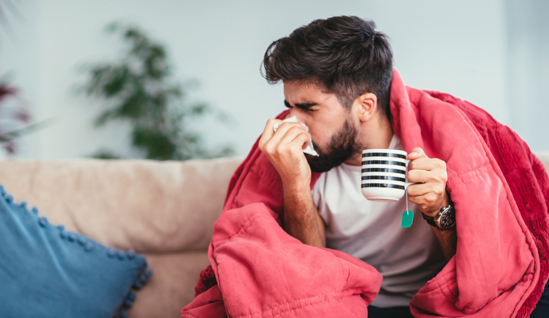 Mold: What It Is, Why It Happens and How to Deal With It