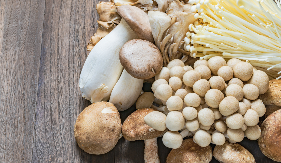 Mushrooms: The Underrated Superfood