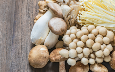 Mushrooms: The Underrated Superfood